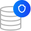 DDoS Protection